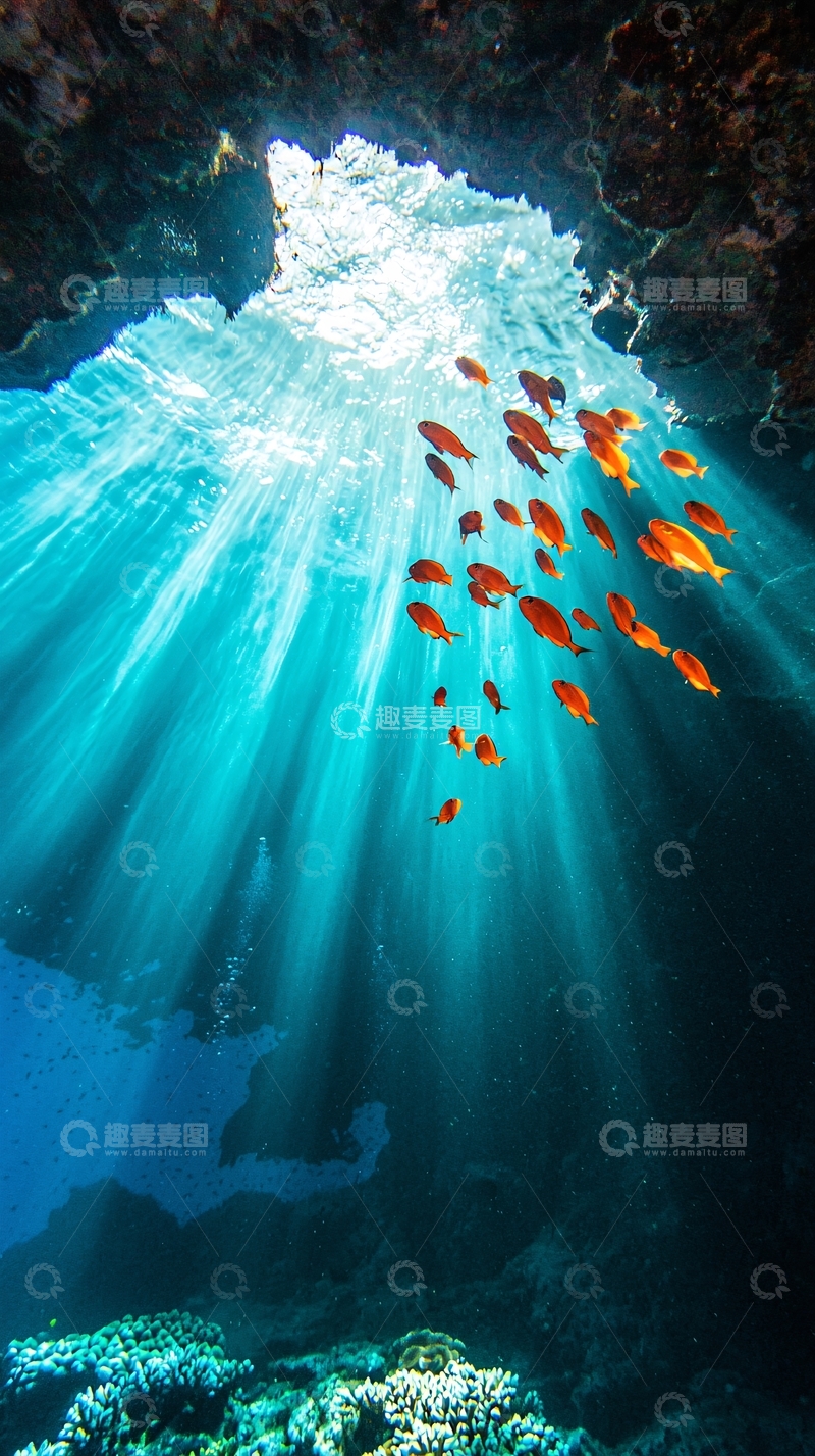 高清大图下载【趣麦麦图】海底阳光穿透珊瑚礁