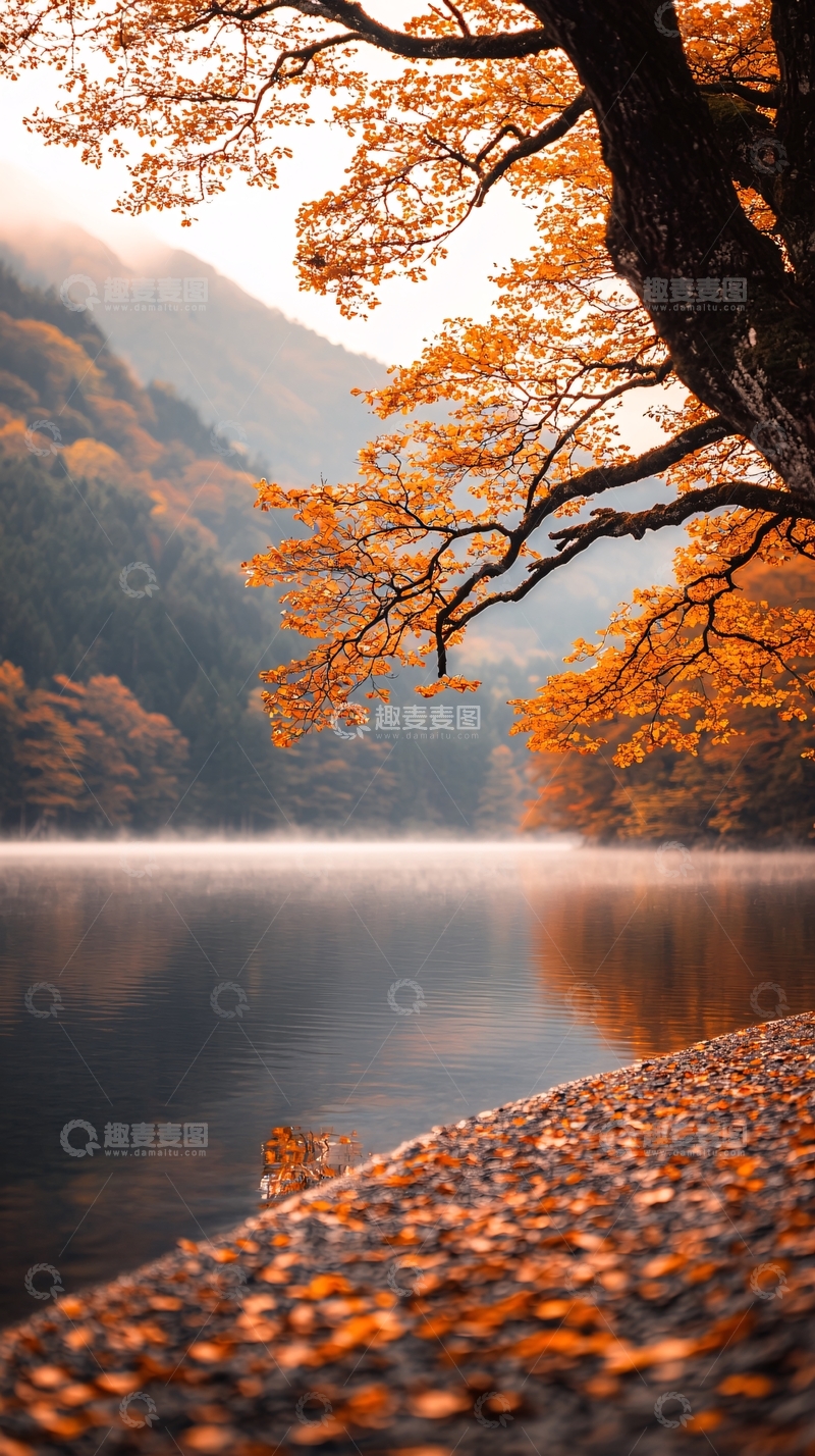高清大图下载【趣麦麦图】秋日湖畔雾气弥漫