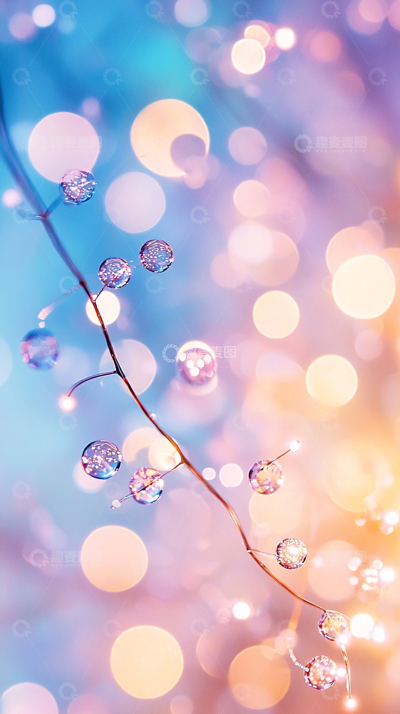 高清大图下载【趣麦麦图】梦幻光斑与水珠树枝背景