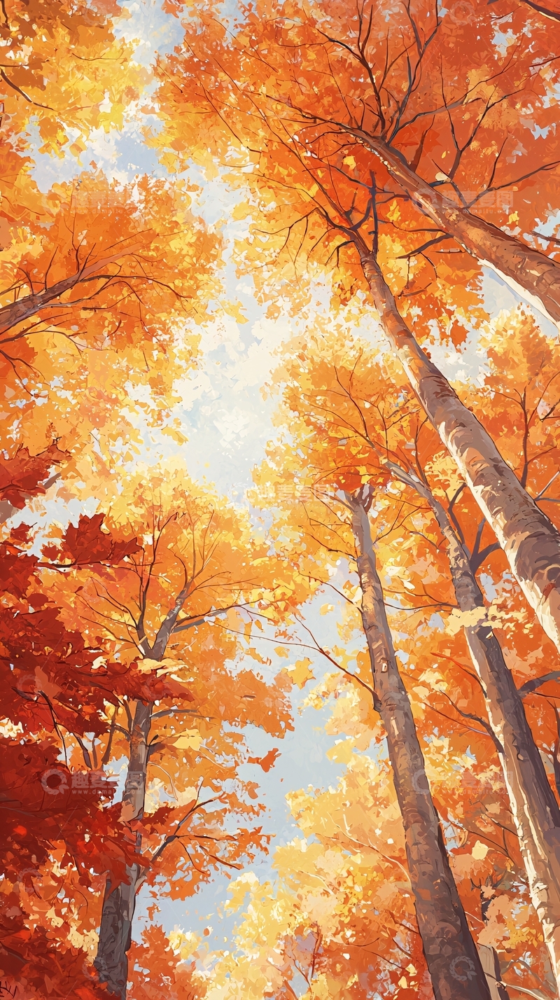 高清大图下载【趣麦麦图】秋日森林风景画