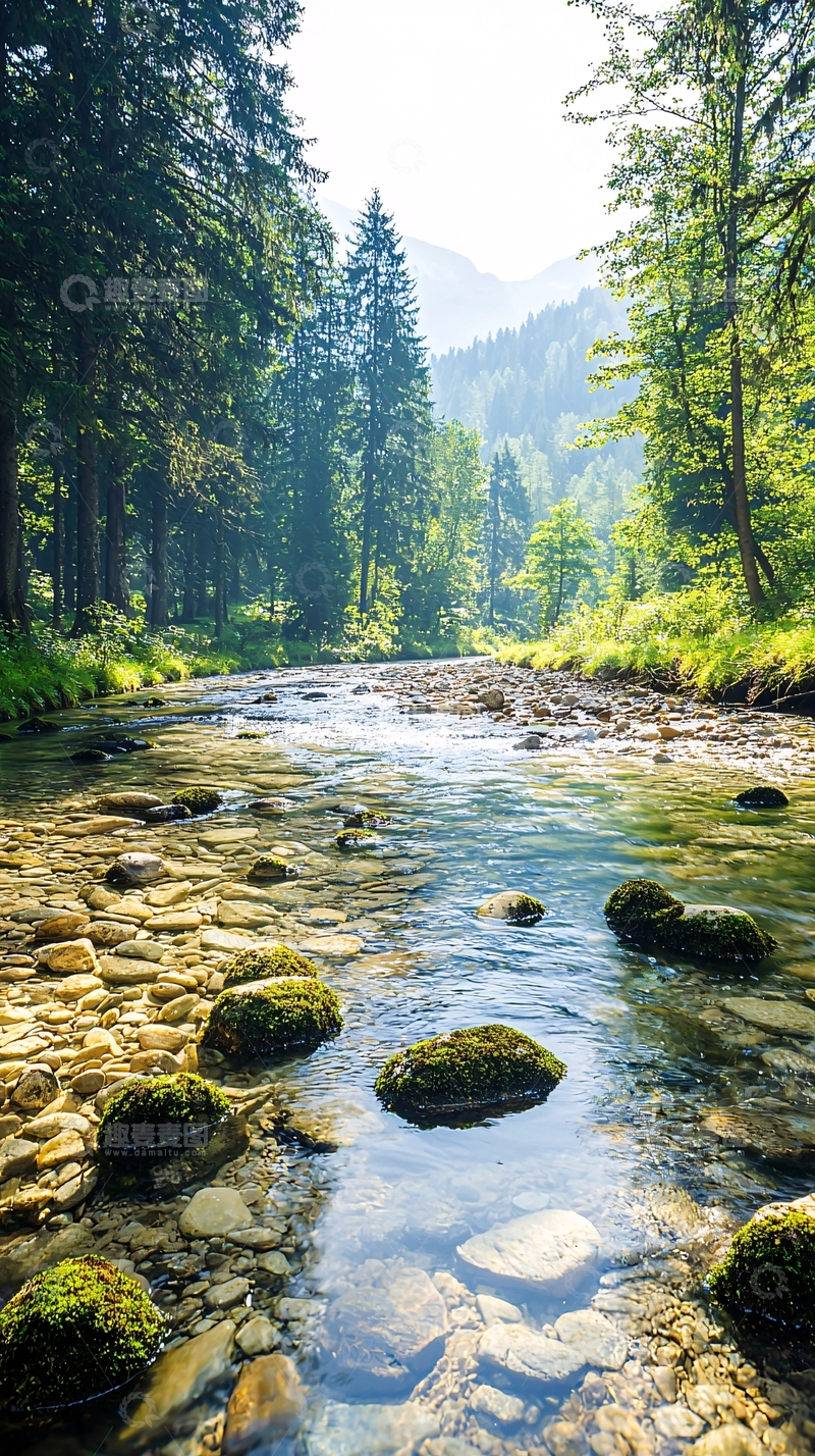 高清大图下载【趣麦麦图】清澈小溪森林风景