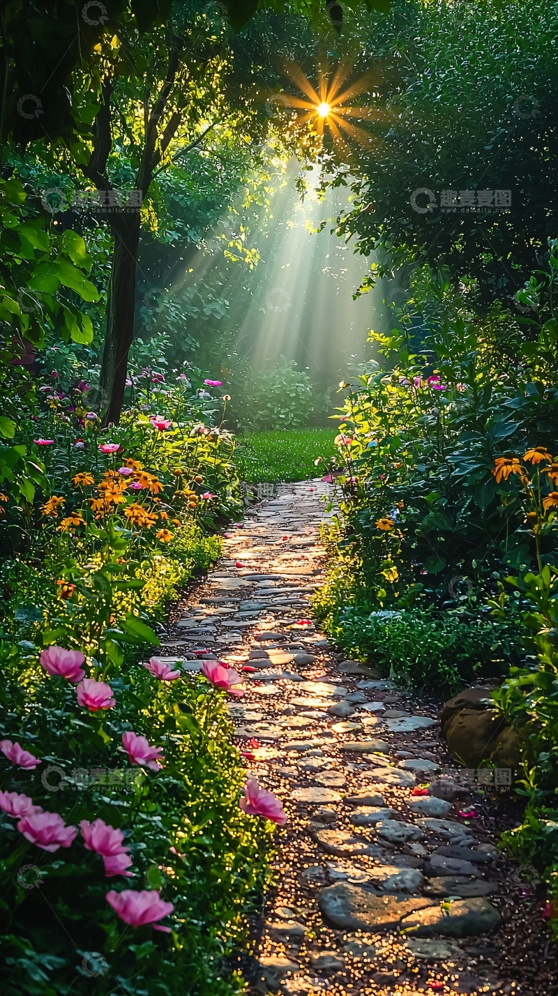 高清大图下载【趣麦麦图】阳光洒满小径的花园