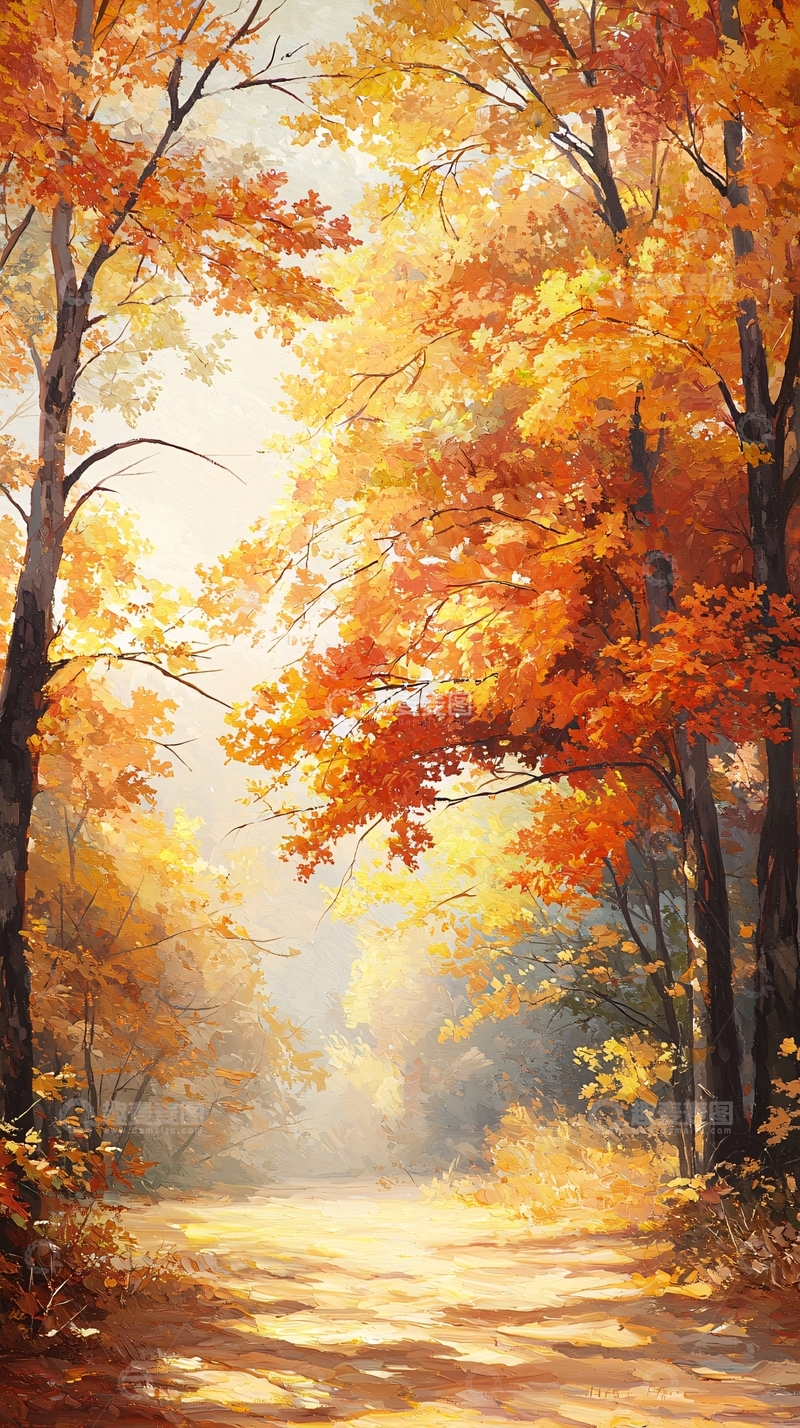 高清大图下载【趣麦麦图】秋日森林小径81