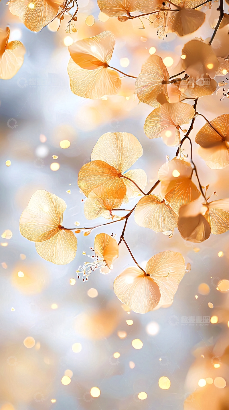 高清大图下载【趣麦麦图】金色花朵背景素材