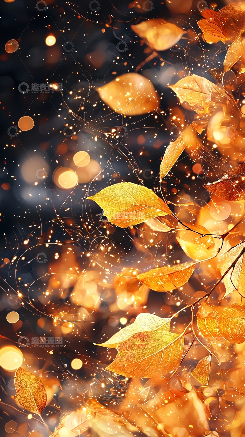 高清大图下载【趣麦麦图】秋叶光斑背景素材