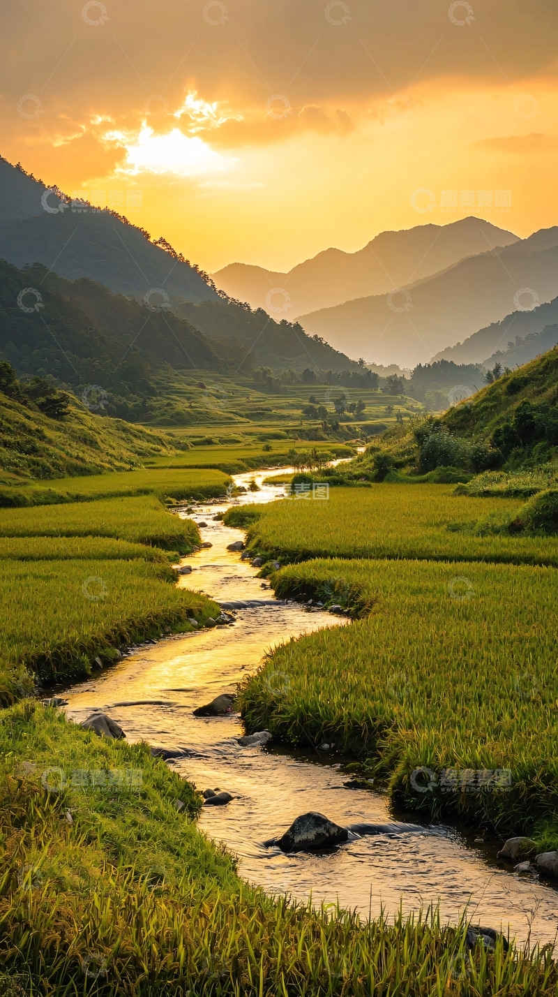 高清大图下载【趣麦麦图】夕阳下的稻田与小溪