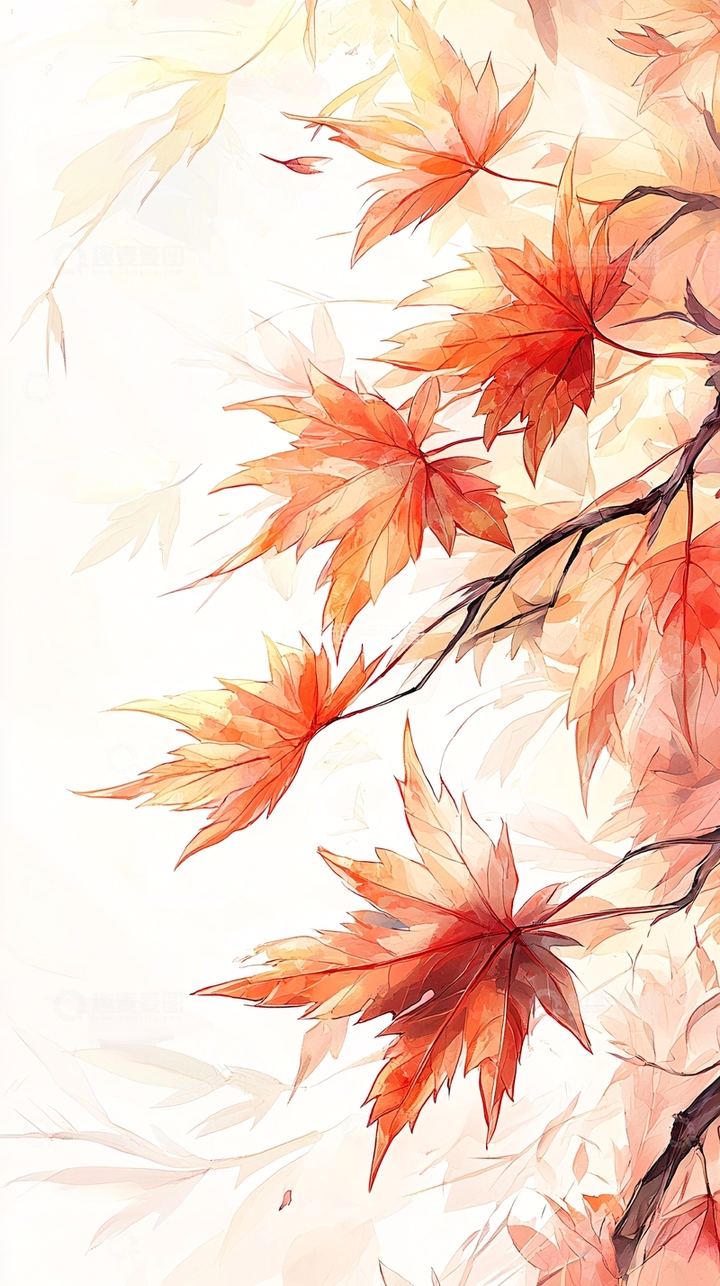 高清大图下载【趣麦麦图】秋日枫叶手绘插画背景图