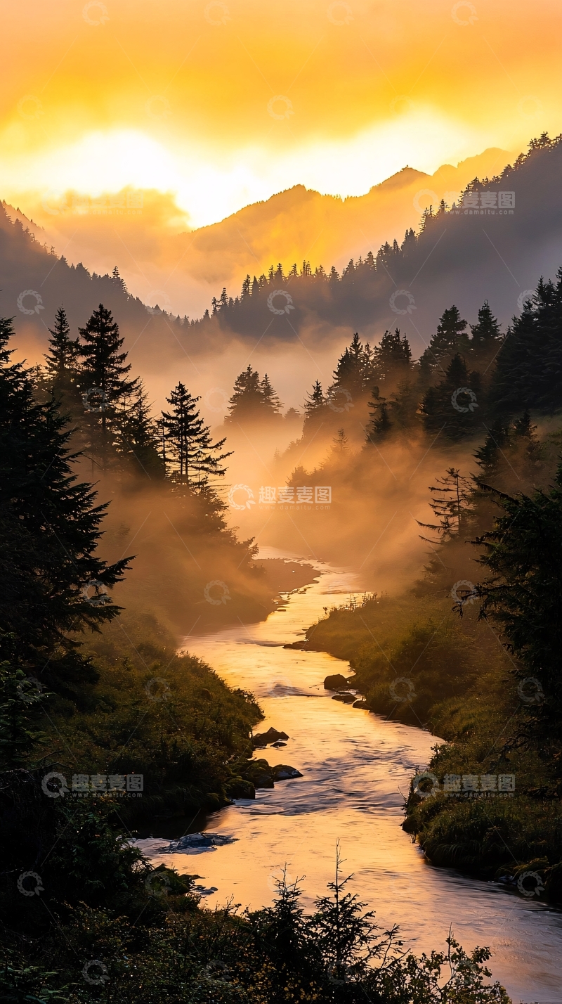 高清大图下载【趣麦麦图】晨雾中的河流与森林