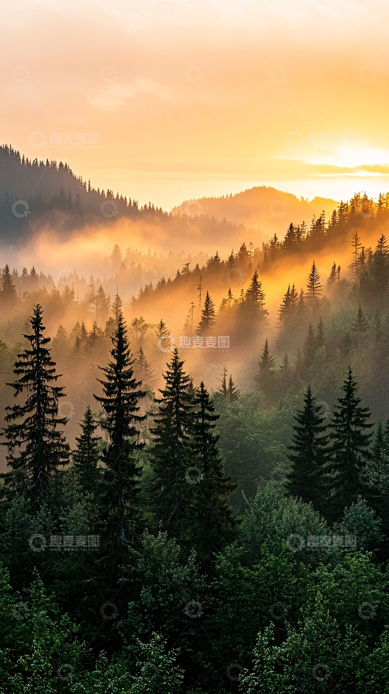 高清大图下载【趣麦麦图】晨雾中的森林