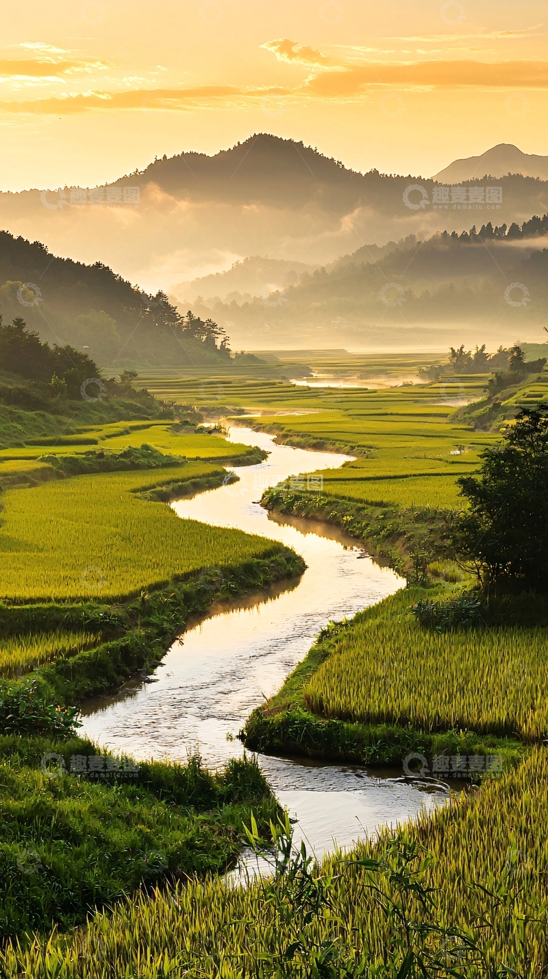 高清大图下载【趣麦麦图】晨雾中的稻田与小溪