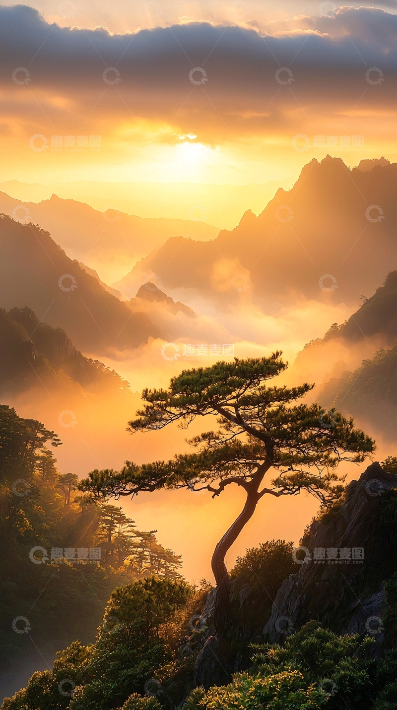 高清大图下载【趣麦麦图】日出山间松树图