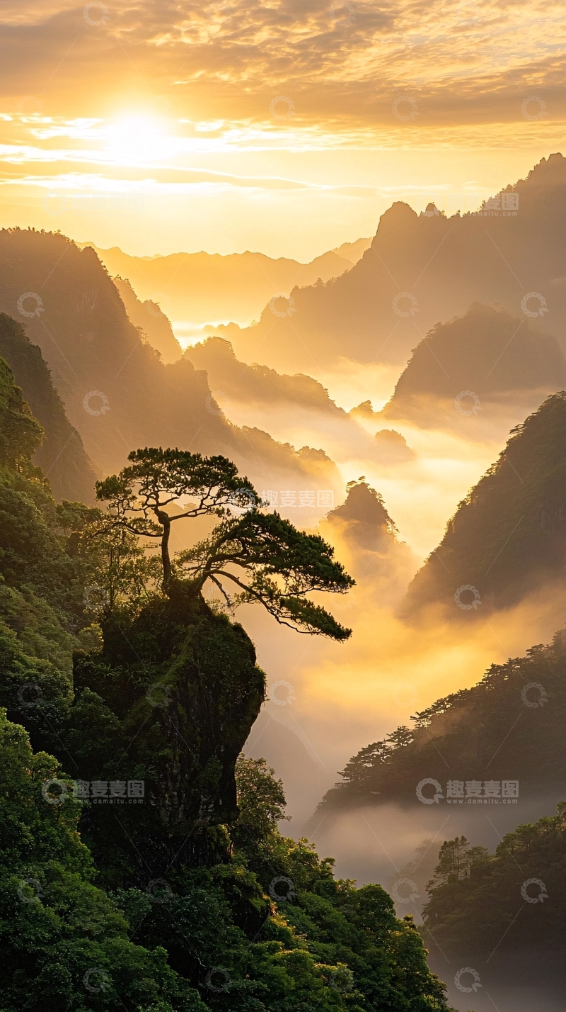高清大图下载【趣麦麦图】日出云海山间松树