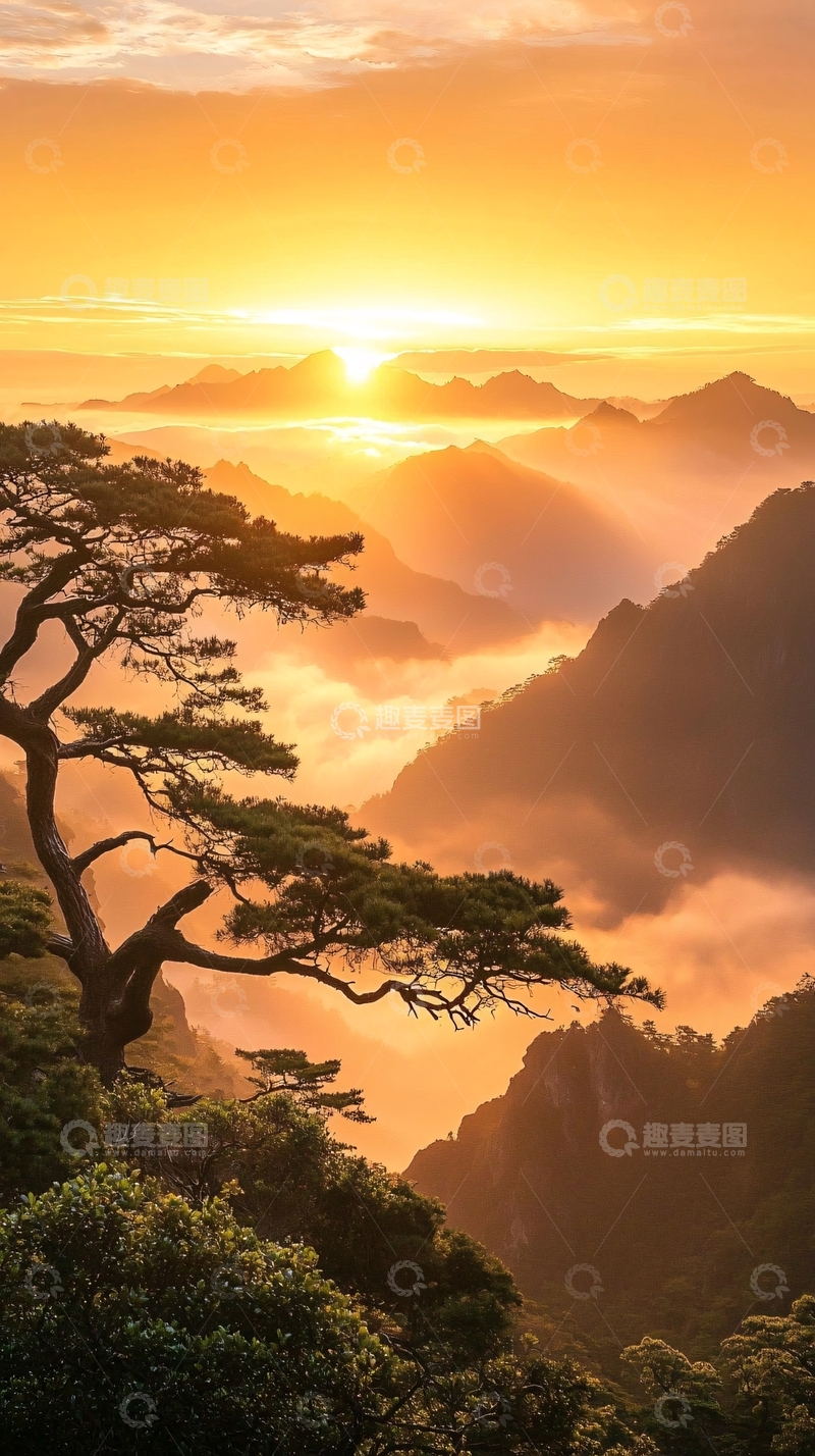高清大图下载【趣麦麦图】日出云海松树山景