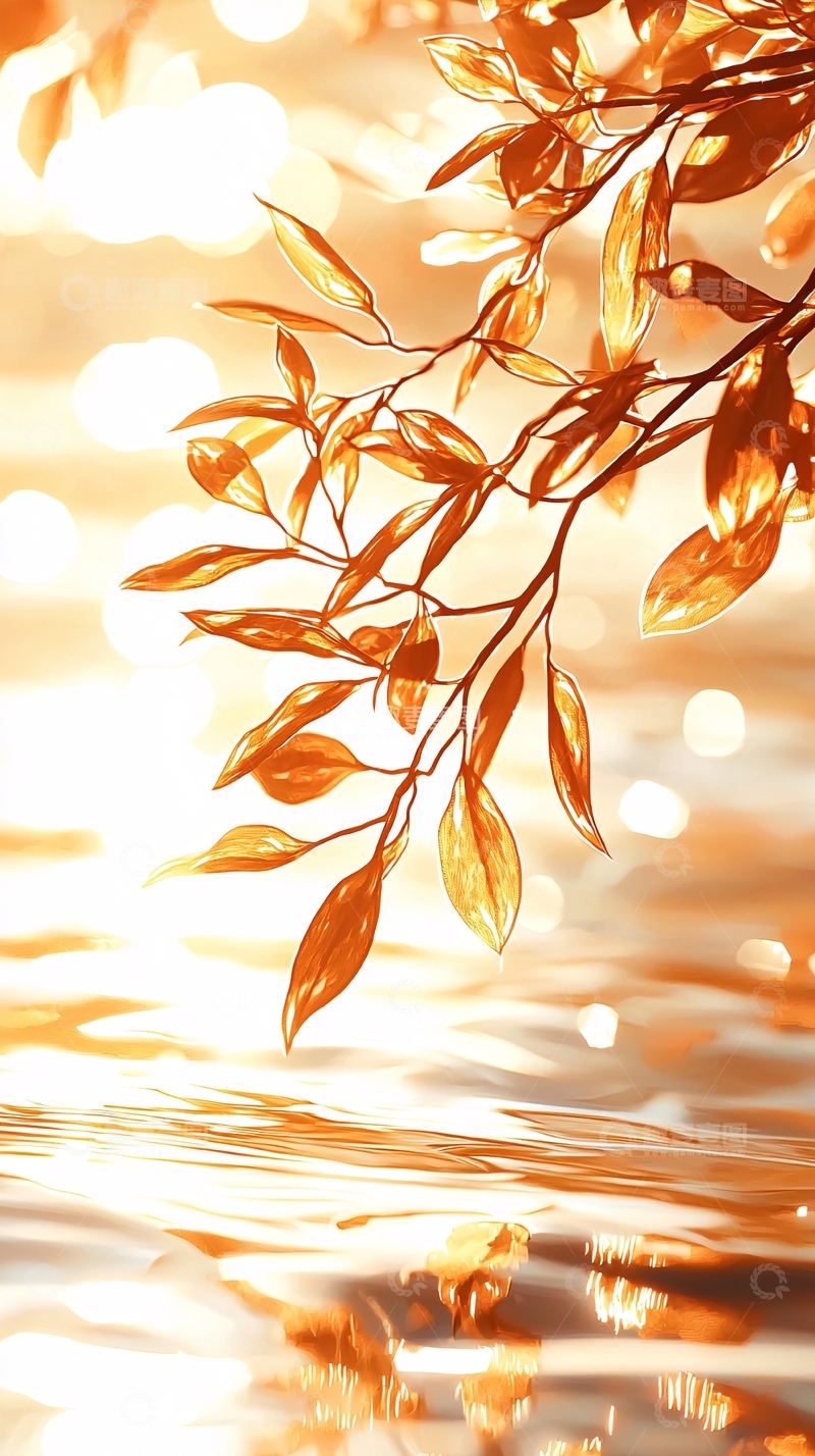 高清大图下载【趣麦麦图】秋日光影下的金色枝叶