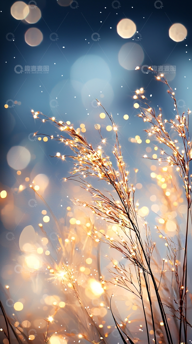 高清大图下载【趣麦麦图】梦幻光斑植物背景