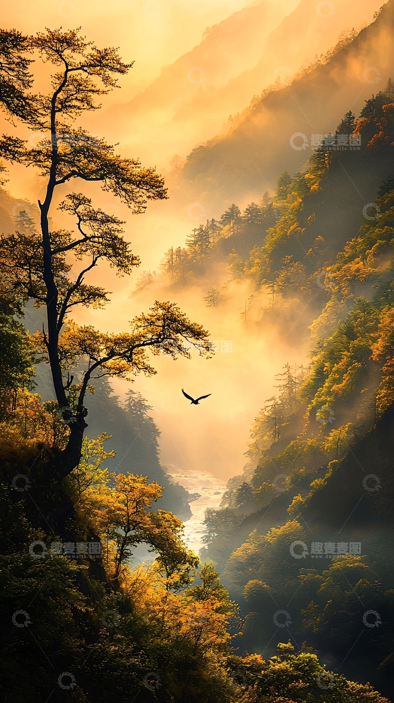 高清大图下载【趣麦麦图】秋日山谷晨雾中的鸟影