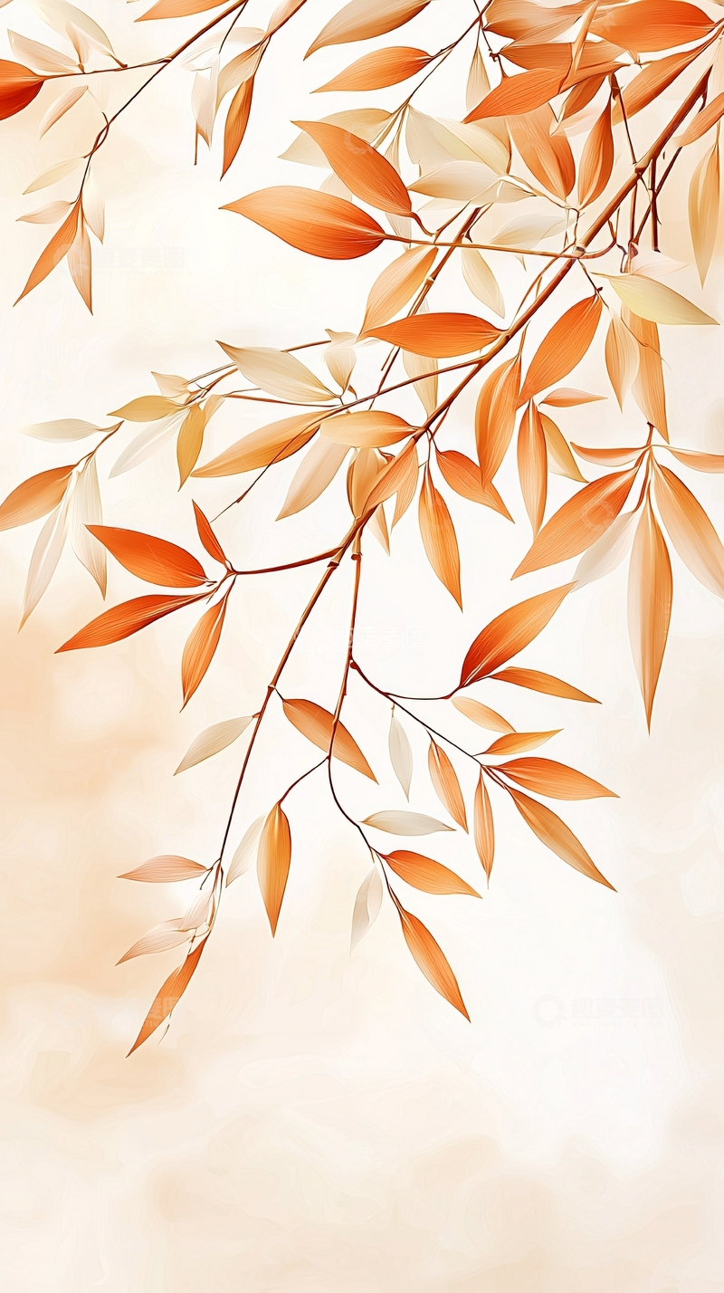 高清大图下载【趣麦麦图】秋日树枝落叶背景图