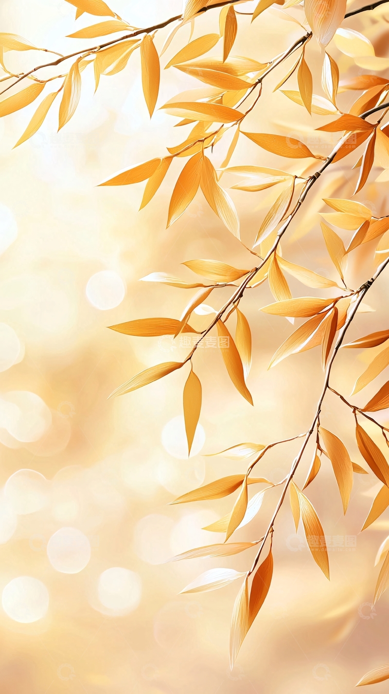 高清大图下载【趣麦麦图】秋日金黄树叶背景图