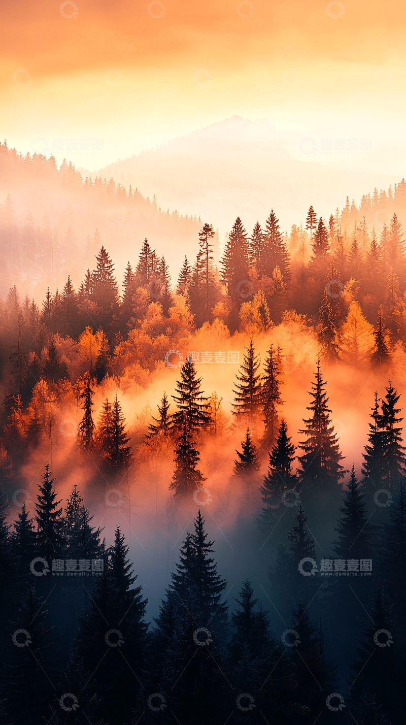 高清大图下载【趣麦麦图】晨雾中的森林