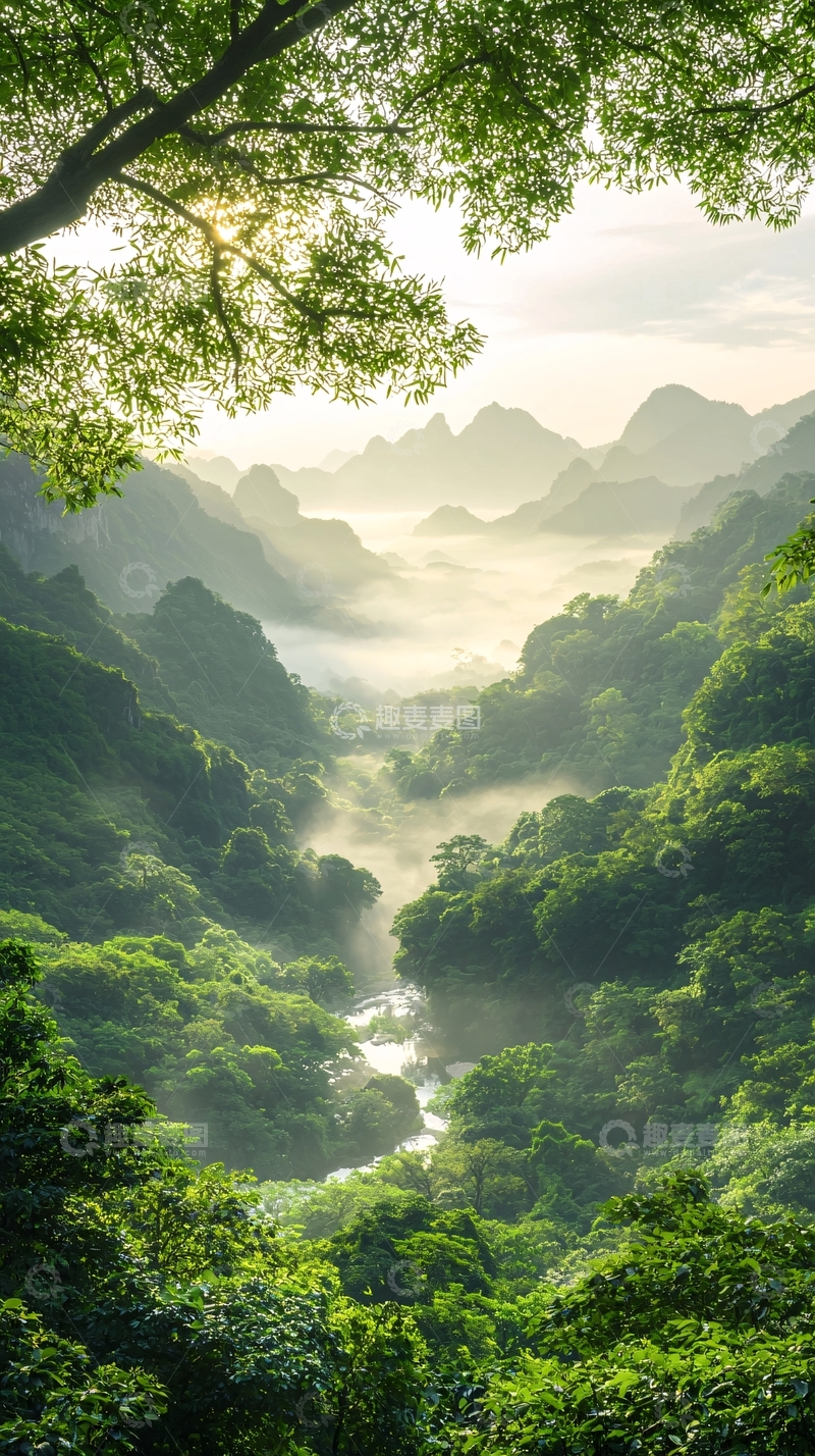 高清大图下载【趣麦麦图】晨雾山谷自然风光