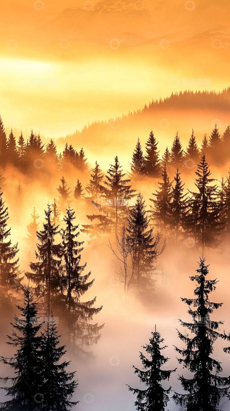高清大图下载【趣麦麦图】晨雾中的森林剪影