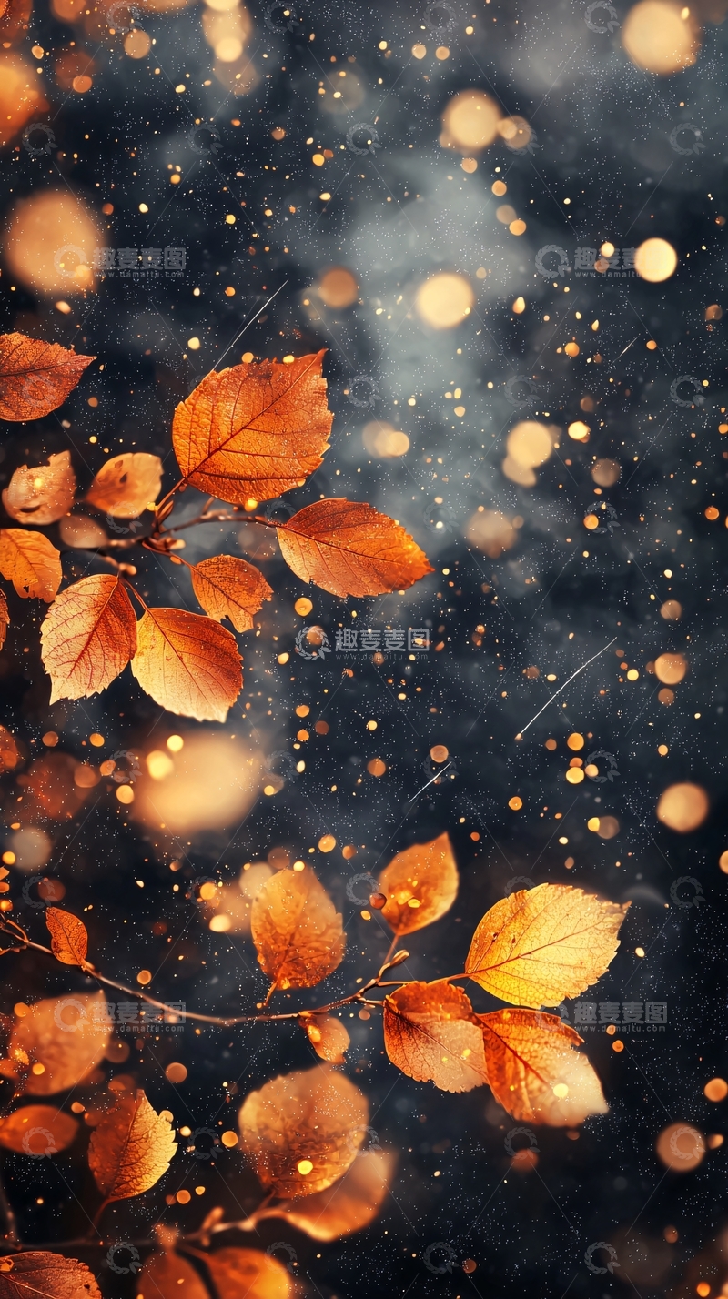 高清大图下载【趣麦麦图】秋叶飘落梦幻背景