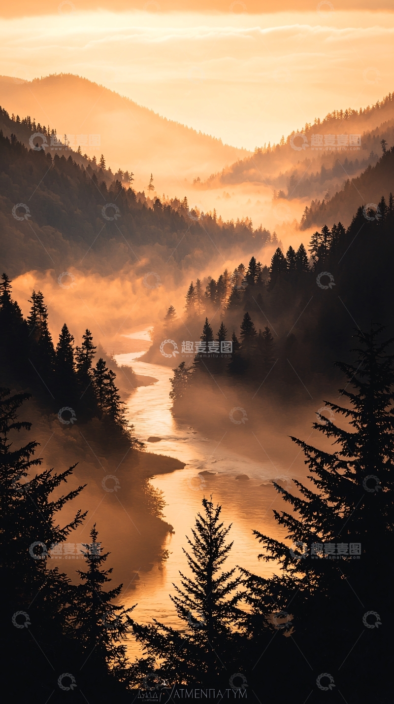高清大图下载【趣麦麦图】晨雾中的河流与森林