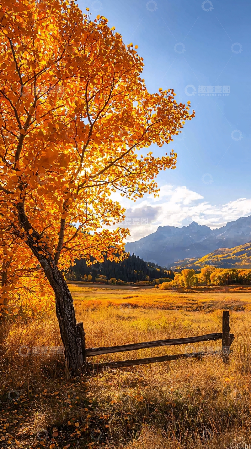 高清大图下载【趣麦麦图】秋日山野木栅栏风景