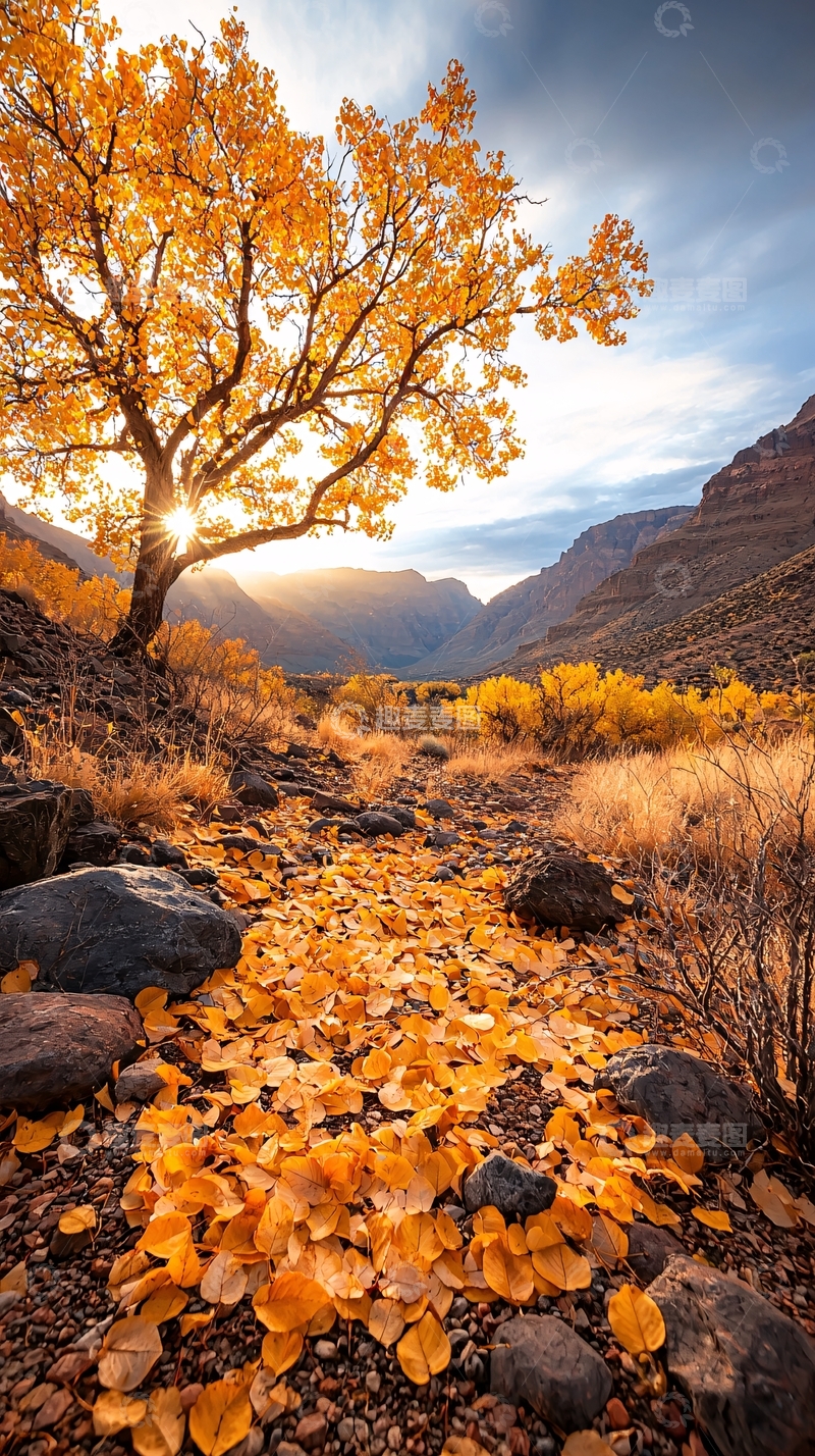 高清大图下载【趣麦麦图】秋日山谷落叶风景