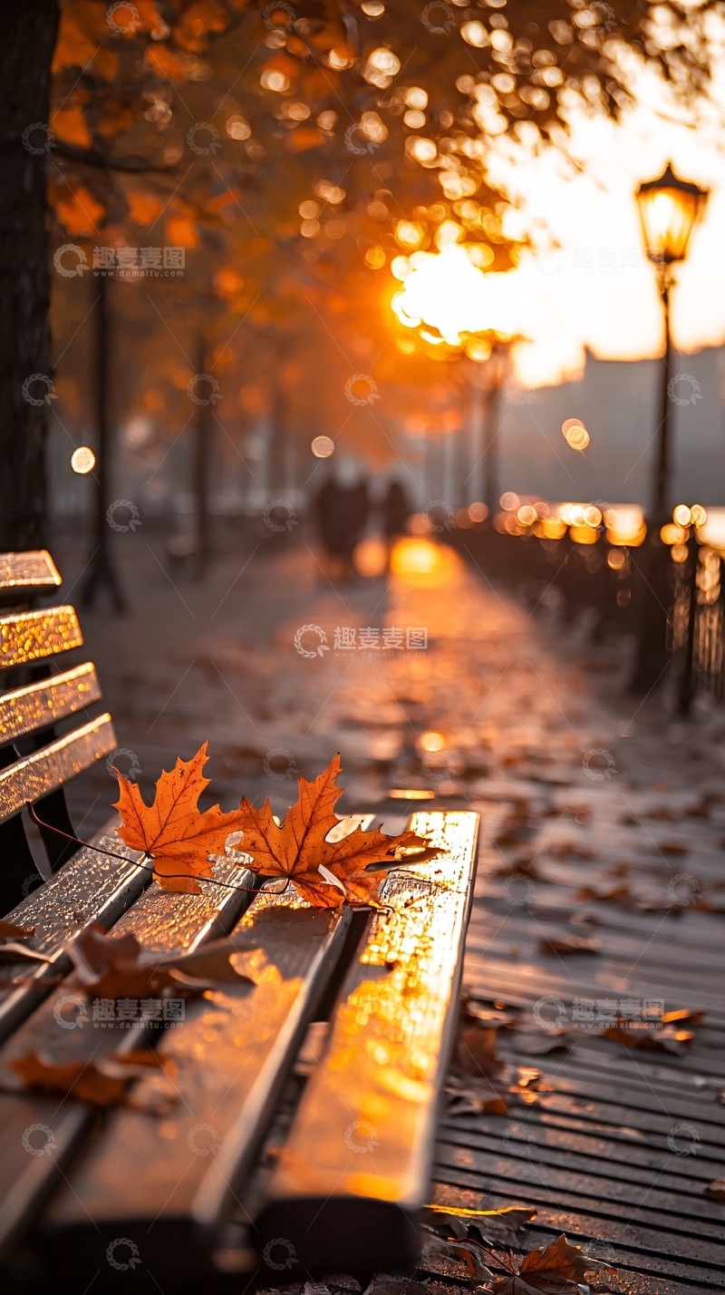 高清大图下载【趣麦麦图】秋日黄昏公园长椅落叶