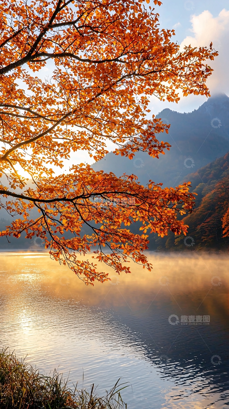 高清大图下载【趣麦麦图】秋日湖畔晨雾美景