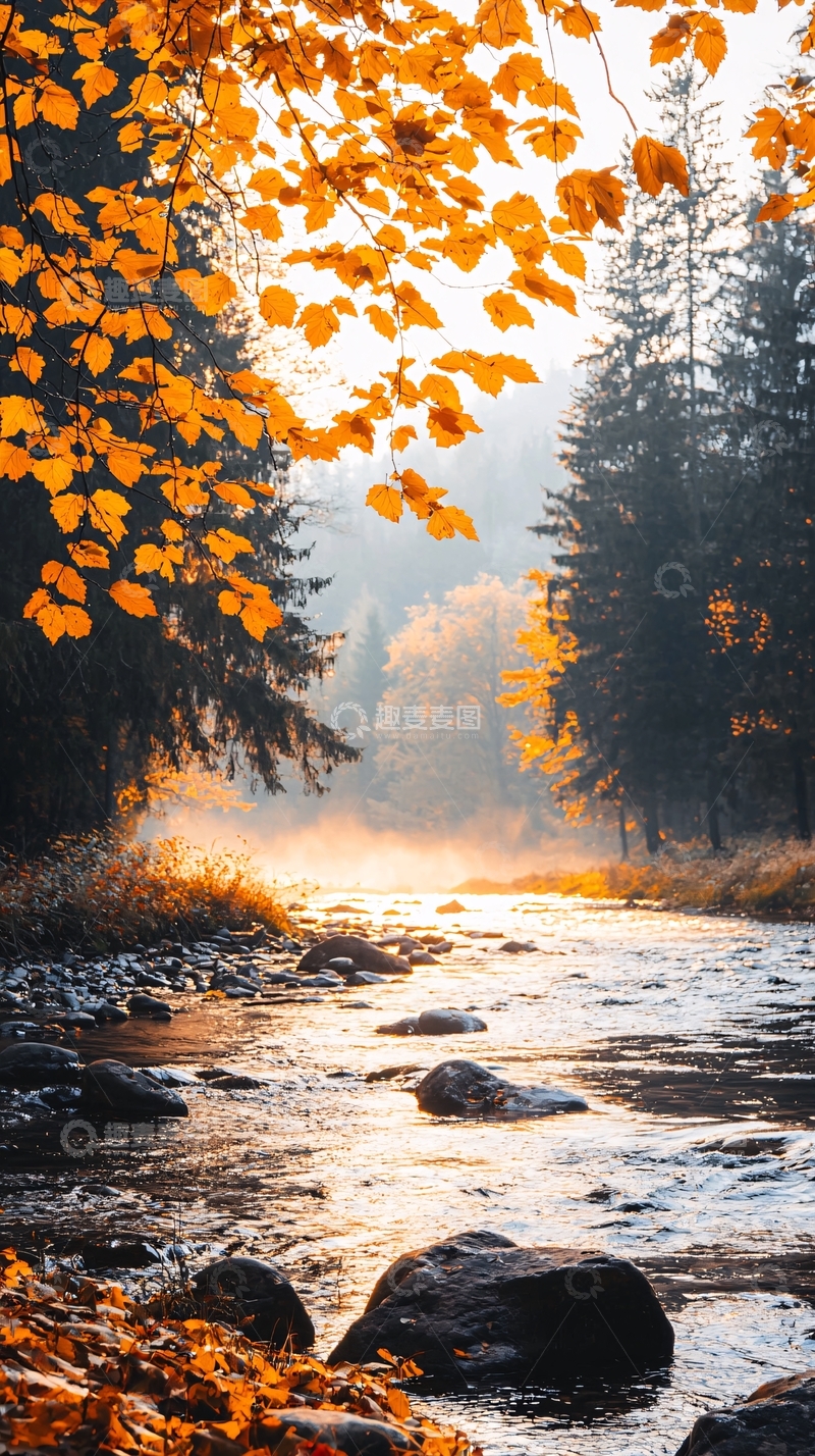 高清大图下载【趣麦麦图】秋日晨光中的小溪