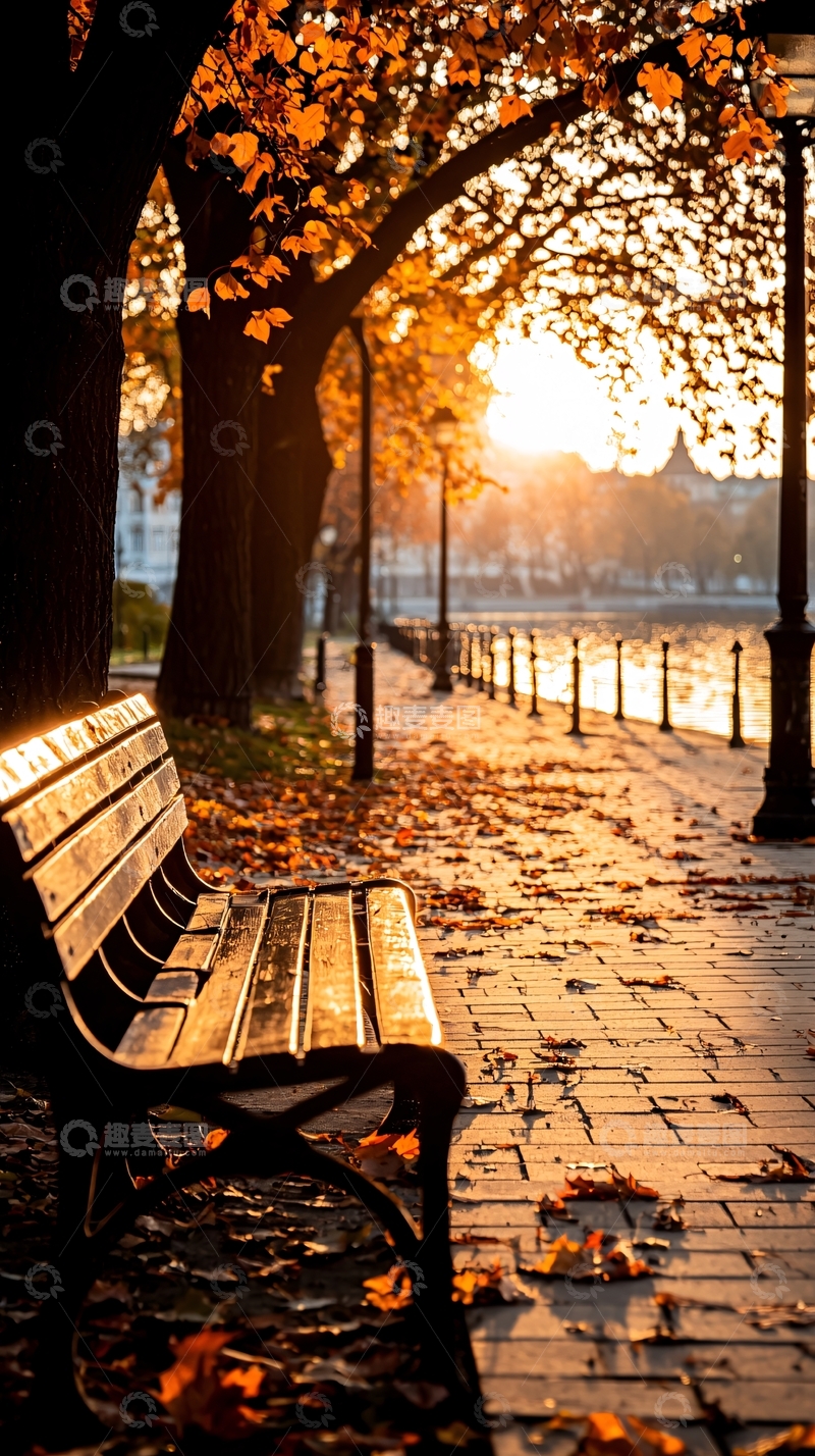 高清大图下载【趣麦麦图】秋日公园长椅与落叶