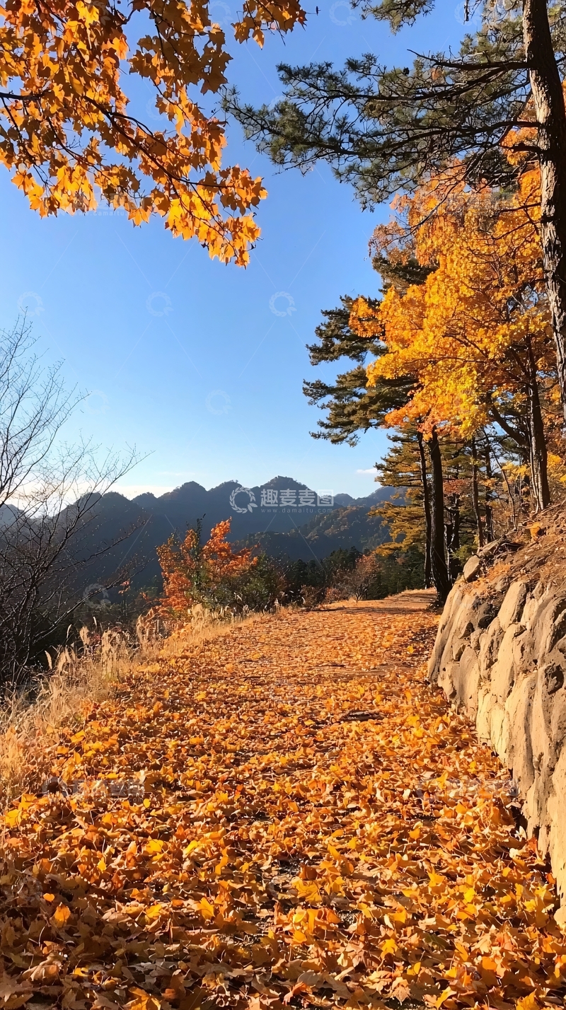 高清大图下载【趣麦麦图】秋日山间小径