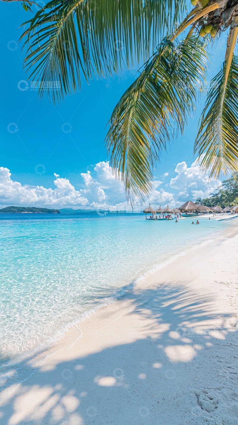 高清大图下载【趣麦麦图】热带海滩椰子树下的宁静时光