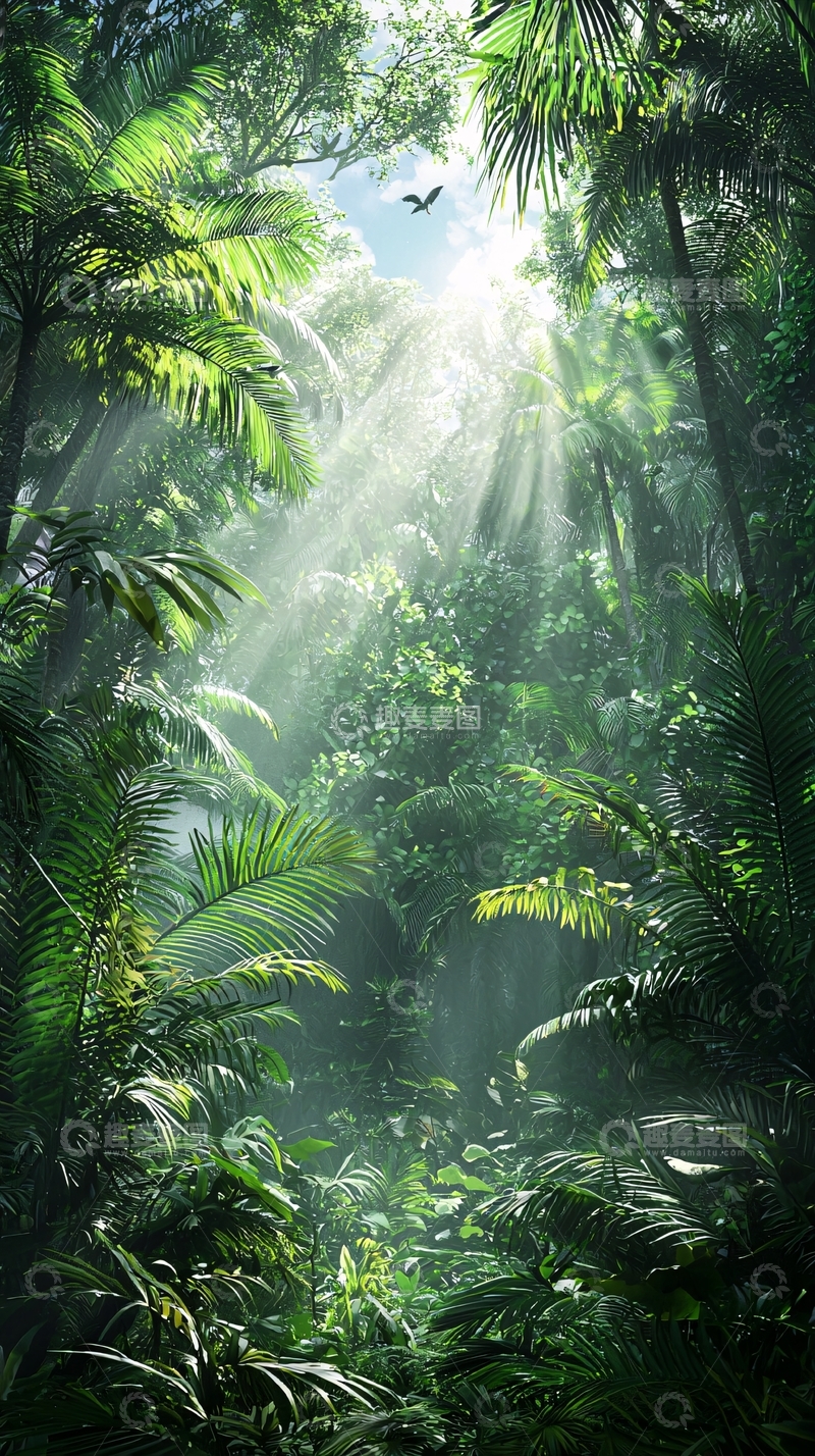 高清大图下载【趣麦麦图】阳光穿透热带雨林