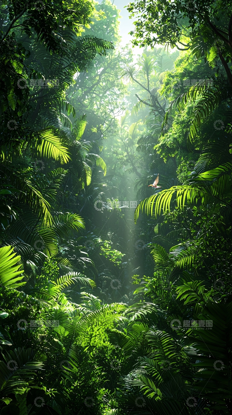 高清大图下载【趣麦麦图】热带雨林阳光穿透