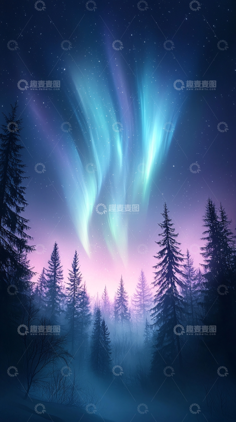 高清大图下载【趣麦麦图】极光下的神秘森林