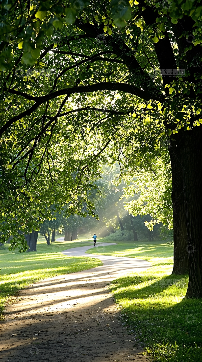 高清大图下载【趣麦麦图】阳光透过树叶的公园小径