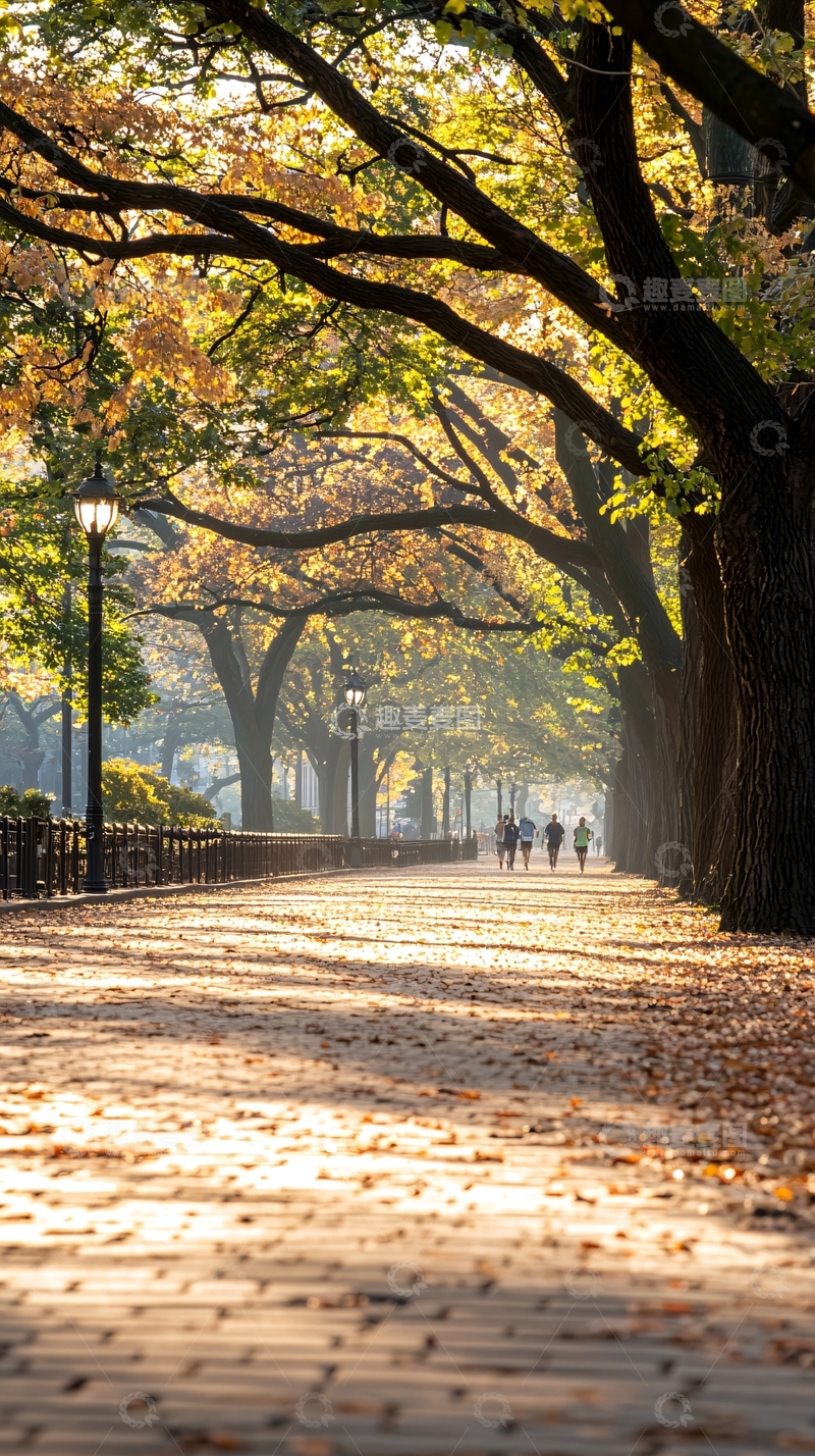 高清大图下载【趣麦麦图】秋日公园小径漫步