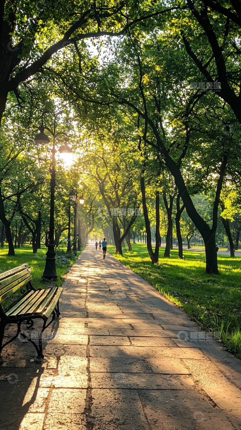 高清大图下载【趣麦麦图】阳光下的公园小径