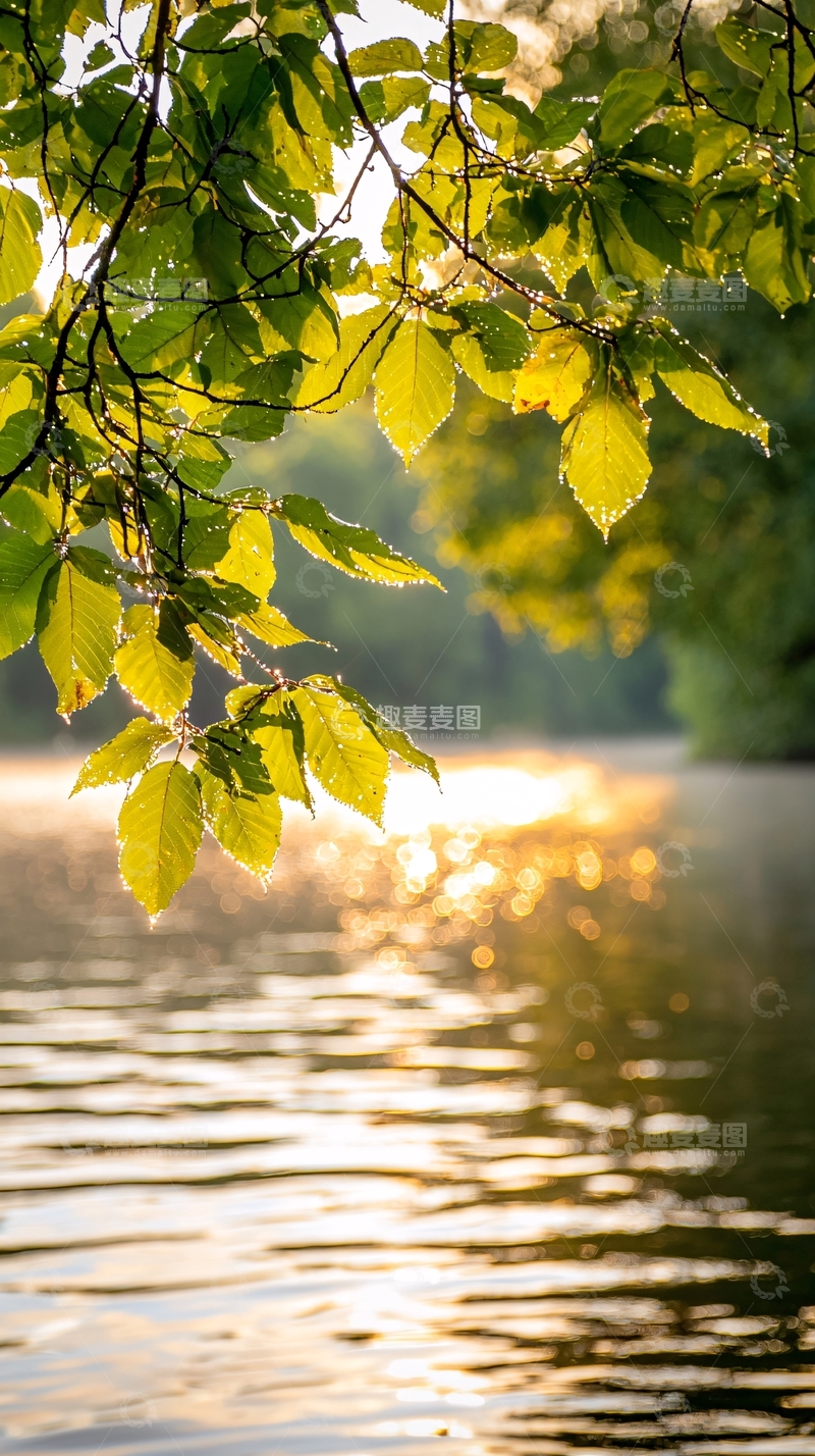 高清大图下载【趣麦麦图】秋日湖畔阳光透过树叶
