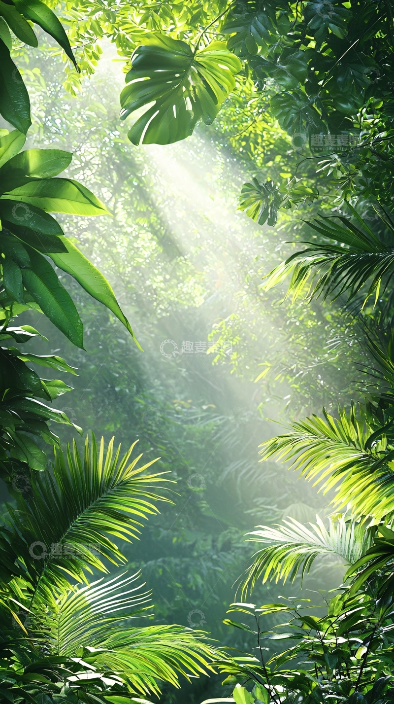 高清大图下载【趣麦麦图】阳光穿透热带雨林