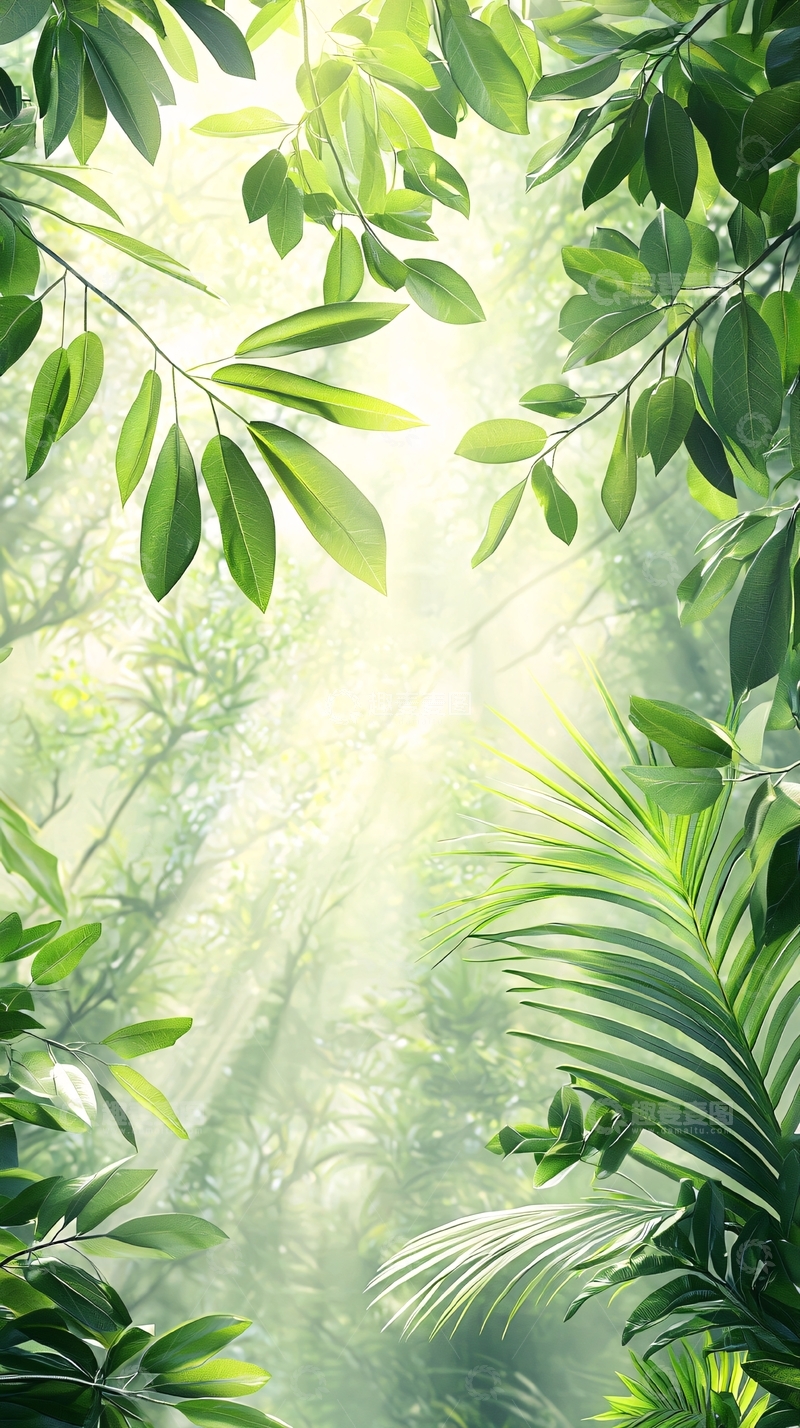 高清大图下载【趣麦麦图】阳光穿透热带雨林