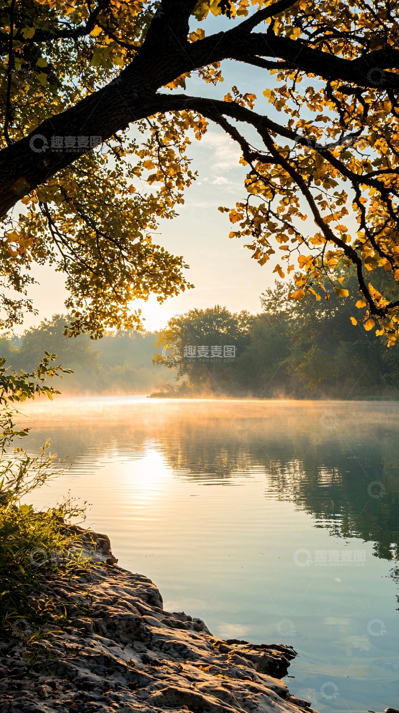 高清大图下载【趣麦麦图】晨雾中的湖边风景