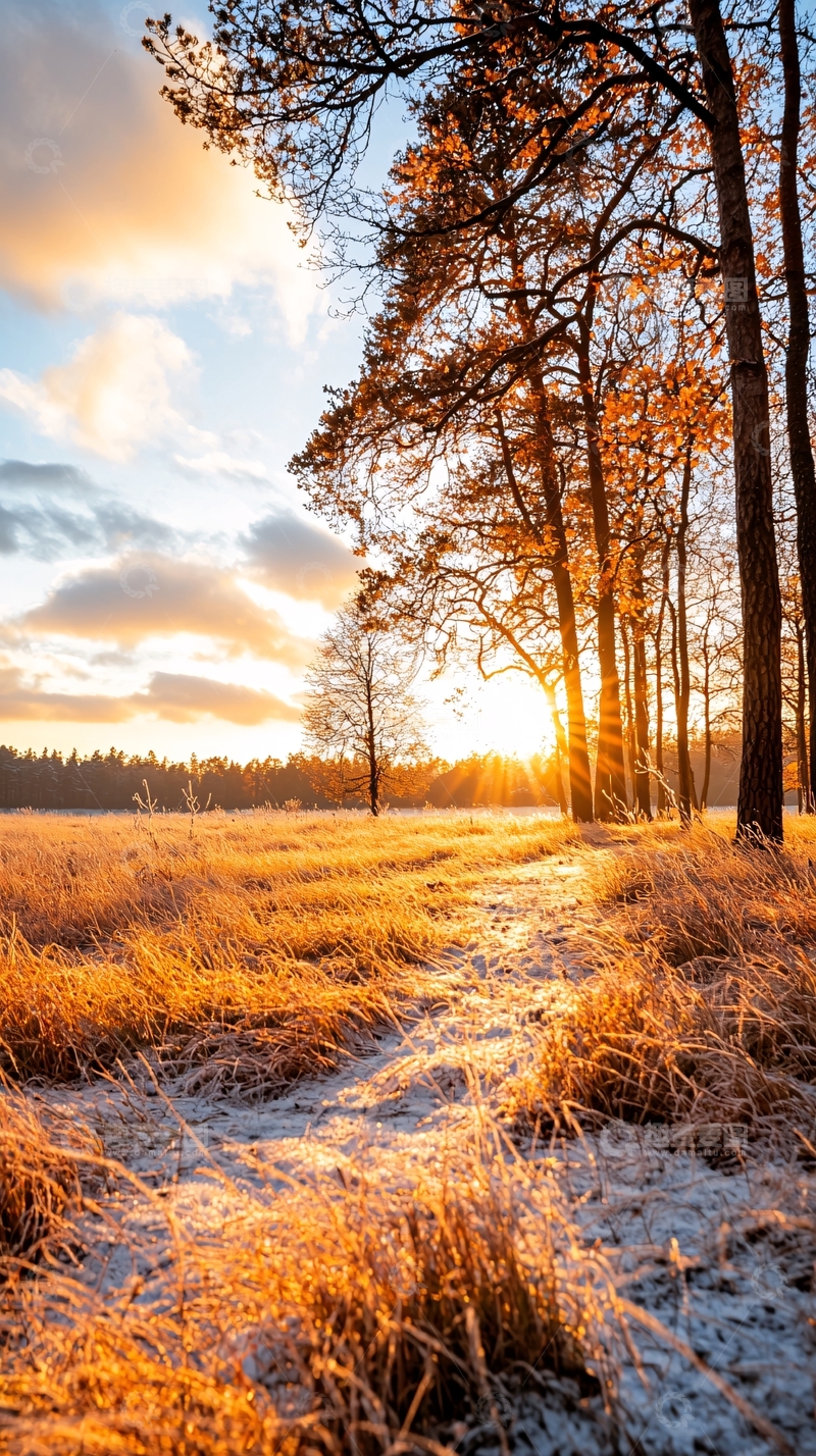 高清大图下载【趣麦麦图】冬日晨光中的森林小径