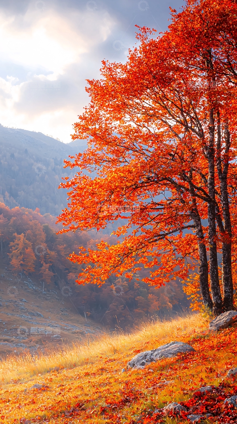 高清大图下载【趣麦麦图】秋日山间红叶美景