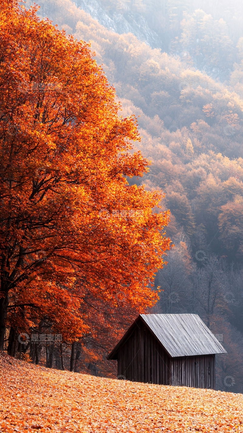 高清大图下载【趣麦麦图】秋日山间小屋与红叶
