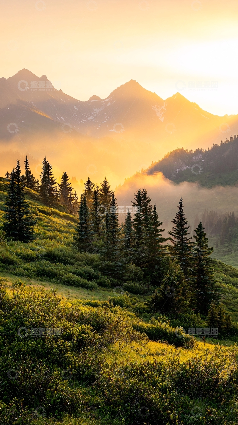 高清大图下载【趣麦麦图】晨雾中的山林风景