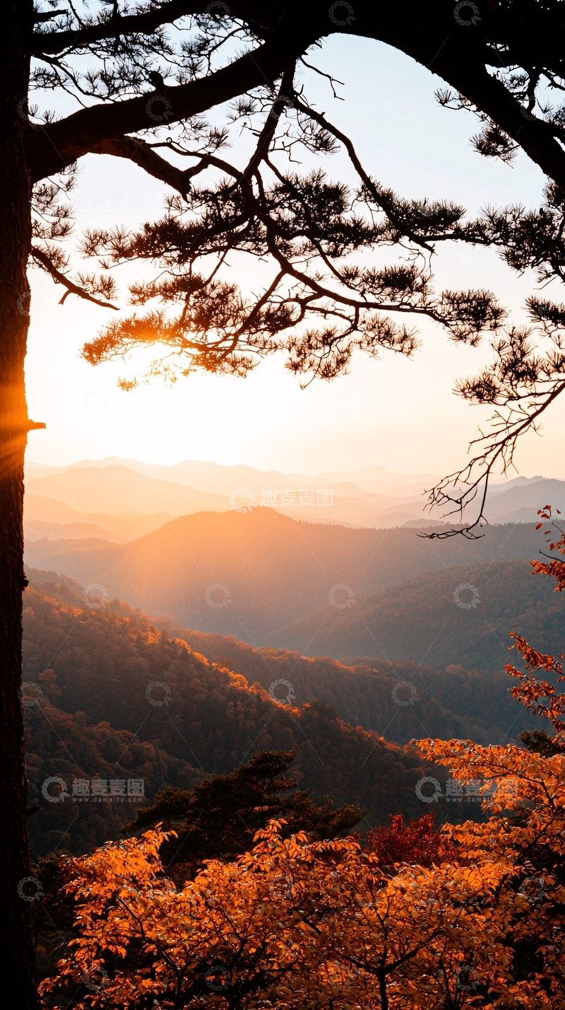 高清大图下载【趣麦麦图】秋日山林夕阳美景